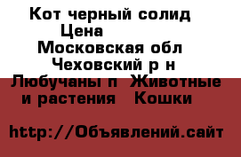 Кот черный солид › Цена ­ 20 000 - Московская обл., Чеховский р-н, Любучаны п. Животные и растения » Кошки   